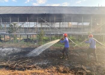 Sejumlah Kecamatan di Kotim Ini Rawan Karhutla