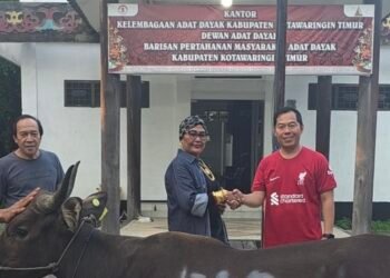 Pancar Mart Berbagi Salurkan Sapi Kurban Jumbo ke Masjid, DAD hingga Polres Kotim