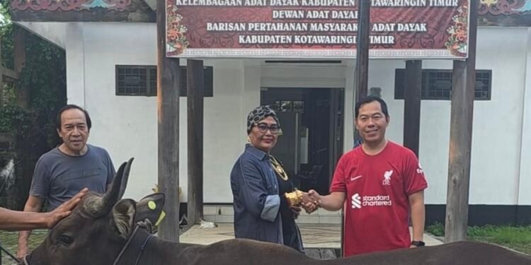 Pancar Mart Berbagi Salurkan Sapi Kurban Jumbo ke Masjid, DAD hingga Polres Kotim
